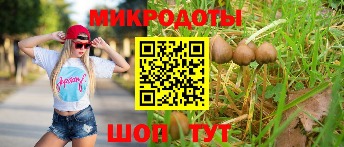 Приморско-Ахтарск  Псилоцибиновые грибы MAGIC MUSHROOMS  Вход с VPN 